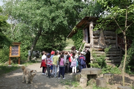 thumb2_1396256967_img_4625