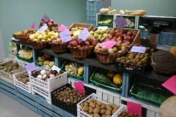 thumb2_1423928353_pioppotremulo