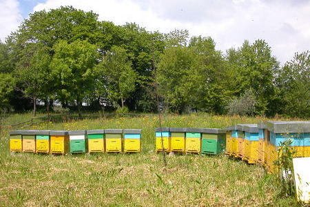 thumb2_1454343199_dscn3359