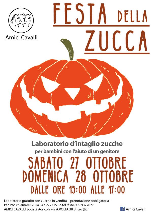 Zucca 27 ottobre