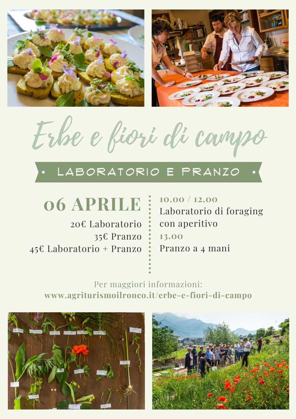 Erbe e fiori di campo -1