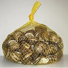 938862_d8f04f4c2bb84edca6bdfca6d99db2b8_mv2 (2)