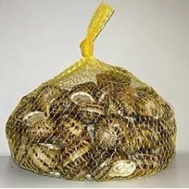 938862_d8f04f4c2bb84edca6bdfca6d99db2b8_mv2 (2)