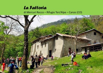 La Fattoria di Rocco Mercuri