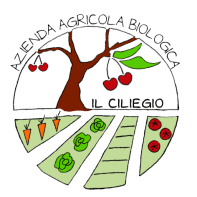 LOGO_NEW_DEF_trasparente