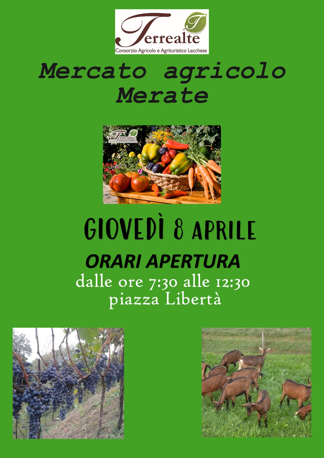 8 aprile A