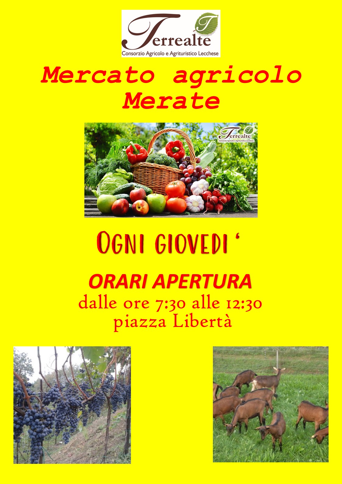 Diapositiva30 aprile 1