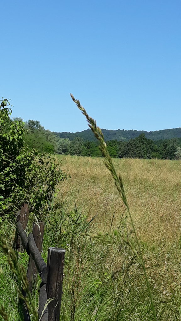 terreni_1-e1565099942718-576x1024