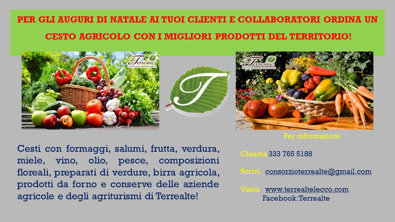 cesti-natalizi-terrealte-prima-2