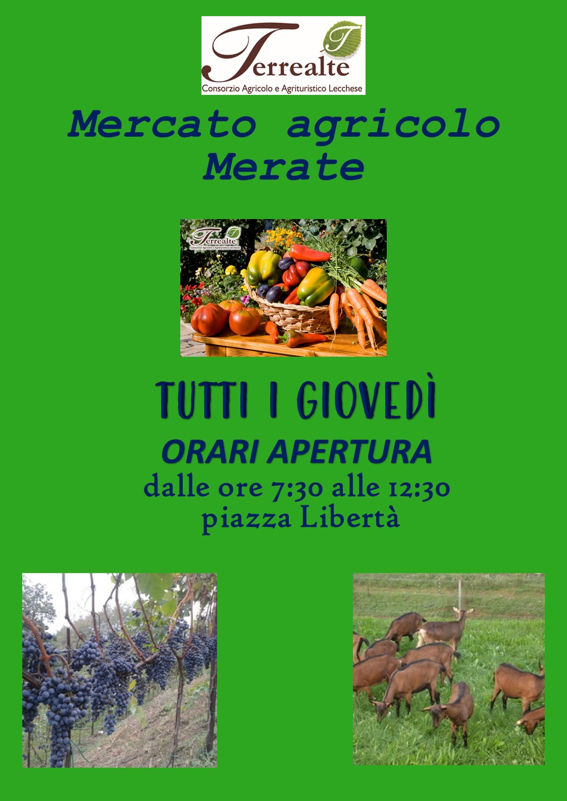 Volantino Mercato Agricolo 12 novembre 21