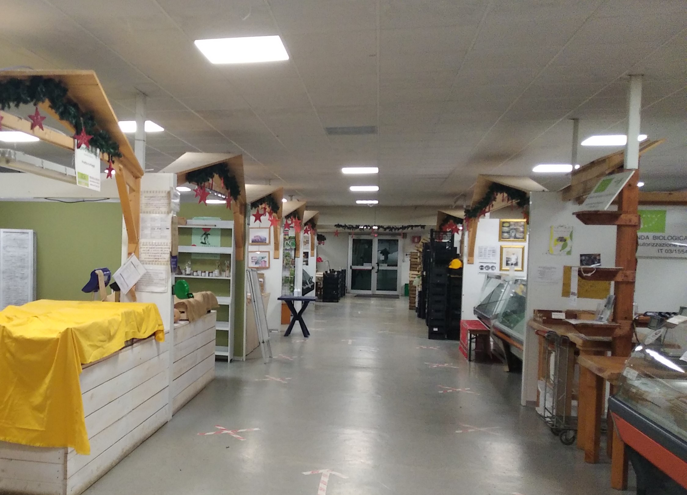 IMG-20211210-WA0006 -1