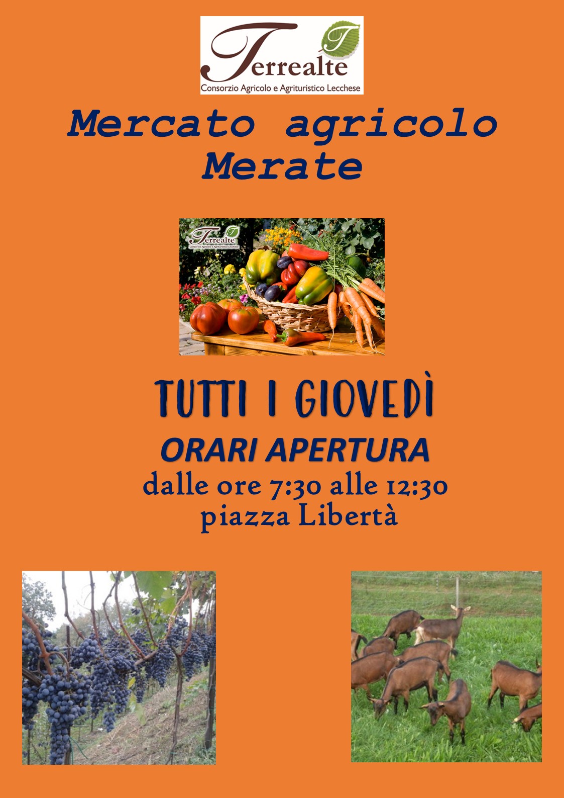 Mercato di Merate 1