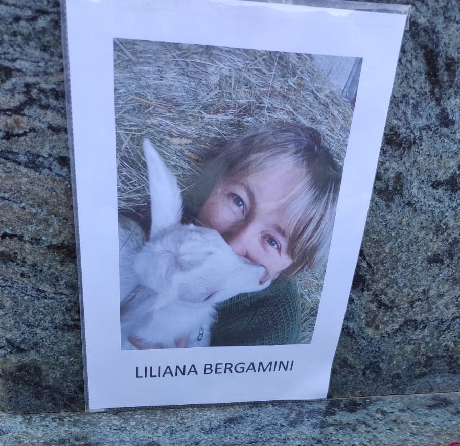 WhatsApp Image 2023-07-17 at 22.13.13