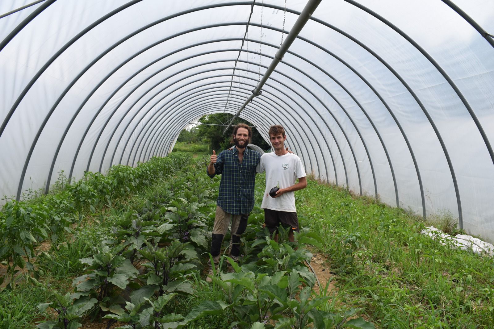 WhatsApp Image 2023-07-20 at 15.18.55