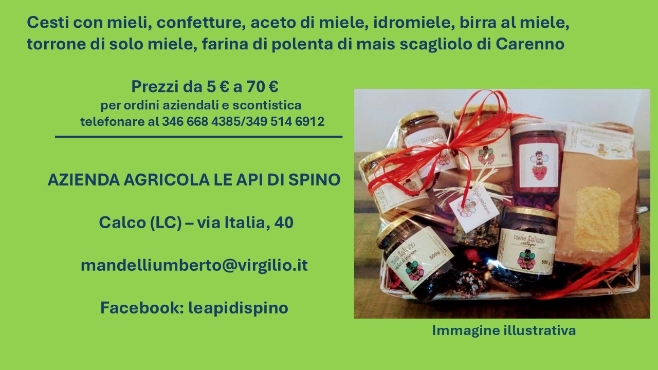 Cesti Natalizi 202 Le Api di Spino OK