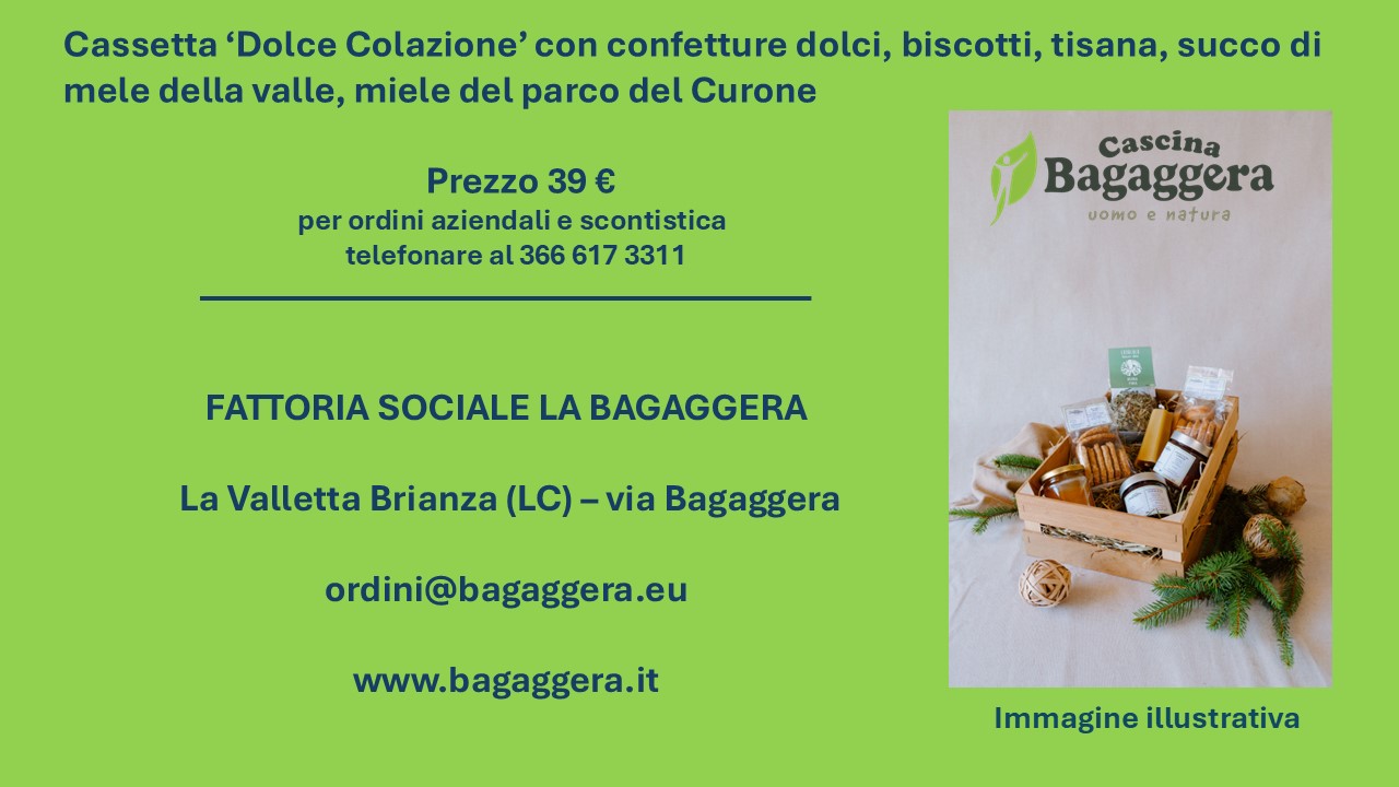 Cesti Natalizi 2024 Bagaggera OK