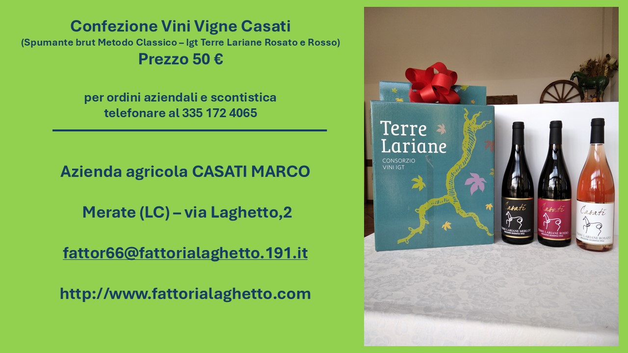 Cesti Natalizi 2024 Casati Marco OK