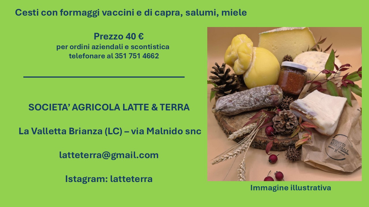 Cesti Natalizi 2024 Latte Terra OK