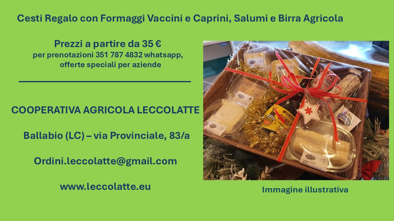 Cesti Natalizi 2024 Leccolatte OK